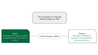 Medical Diagnosis as a language-to-language task.